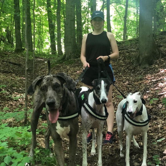 Meet your Posher, Nicole - Picture 2 of 2